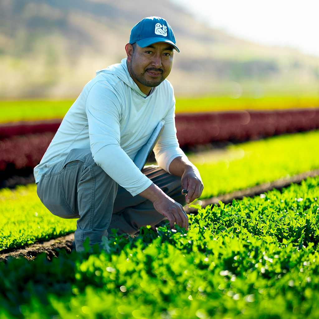 At Vegpro, we cultivate talent